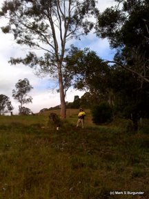 Maniac with a chainsaw