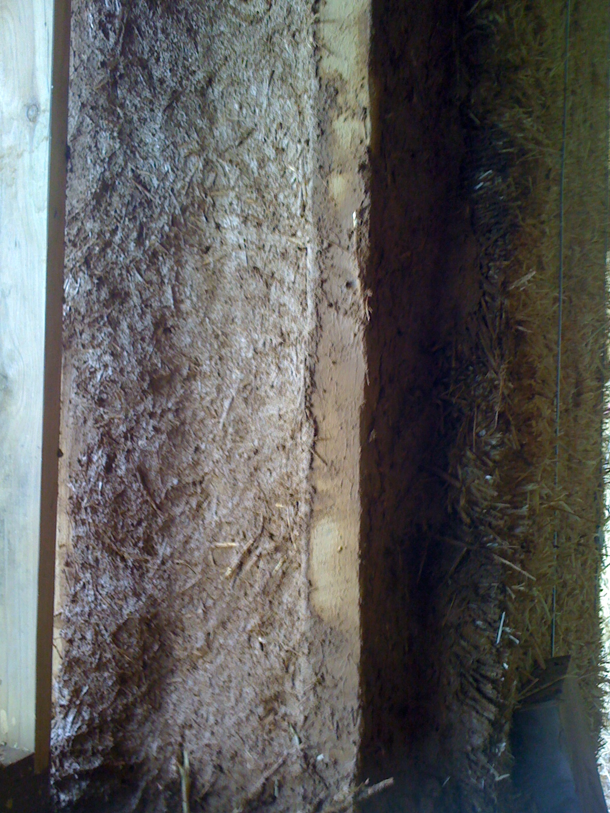 Cob fill done by Rosalba